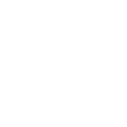 Chabad Persian Youth Logo